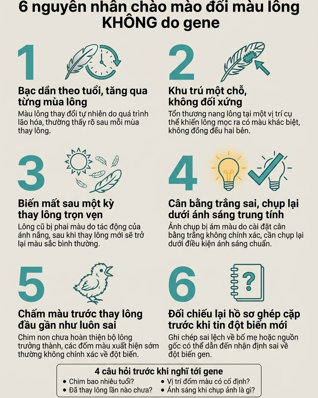 Infographic tóm tắt 6 nguyên nhân khiến chào mào đổi màu lông không do gene: bạc theo tuổi, tổn thương nang lông, lông cũ bạc nắng, ảnh ám màu, chim non chưa lên pattern, ghi nhầm bố mẹ