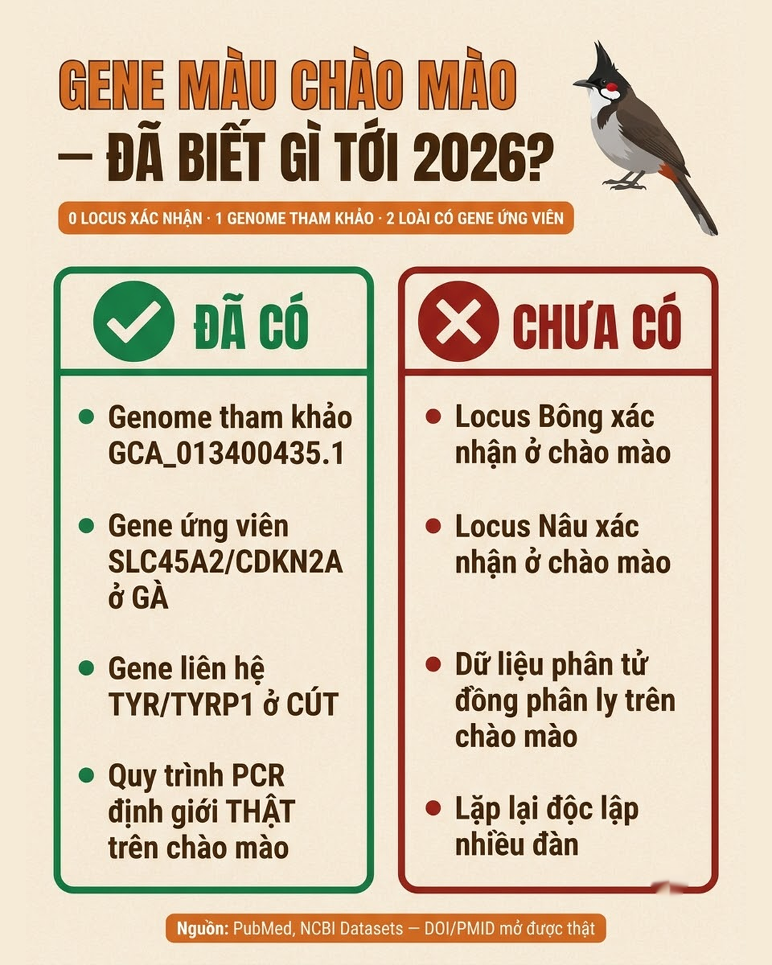 Gene màu chào mào 2026 — cái đã có, cái chưa có